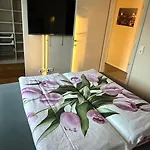 Omg Obermoesingergut Christkindl *