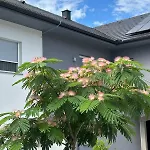 Omg Obermoesingergut Christkindl דירה שטייר