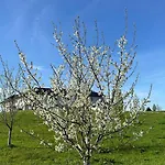 דירה Omg Obermoesingergut Christkindl