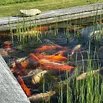 Omg Obermoesingergut Christkindl שטייר