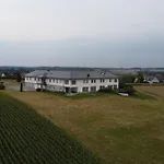 Omg Obermoesingergut Christkindl שטייר