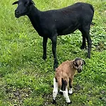 Omg Obermoesingergut Christkindl דירה