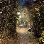 Omg Obermoesingergut Christkindl