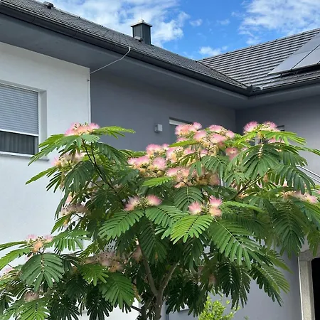 Omg Obermoesingergut Christkindl 아파트 슈타이어