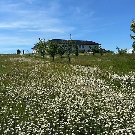 아파트 Omg Obermoesingergut Christkindl 슈타이어