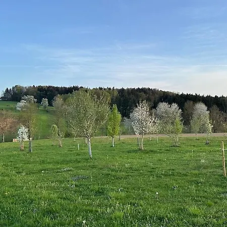 아파트 Omg Obermoesingergut Christkindl