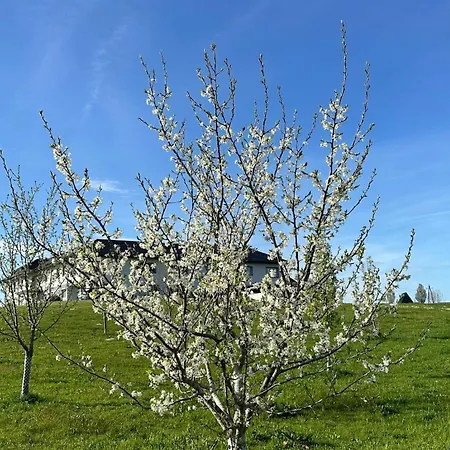 아파트 Omg Obermoesingergut Christkindl