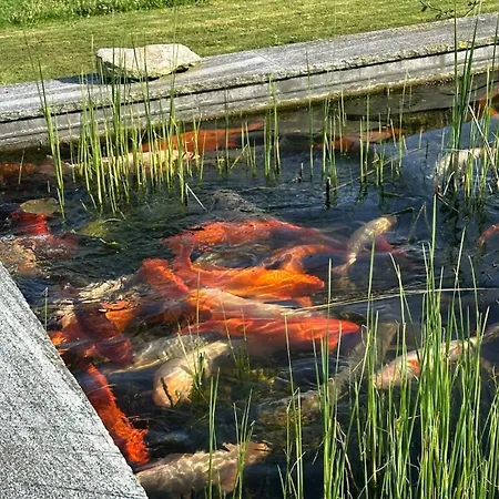 Omg Obermoesingergut Christkindl Steyr