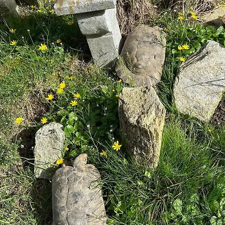Omg Obermoesingergut Christkindl * Steyr