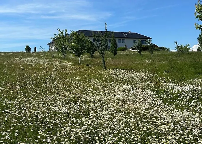 Apartment Omg Obermoesingergut Christkindl Steyr