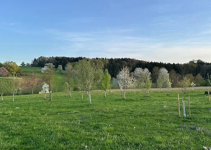 Apartment Omg Obermoesingergut Christkindl