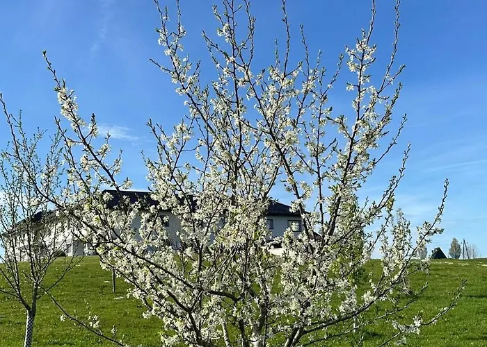 Apartment Omg Obermoesingergut Christkindl