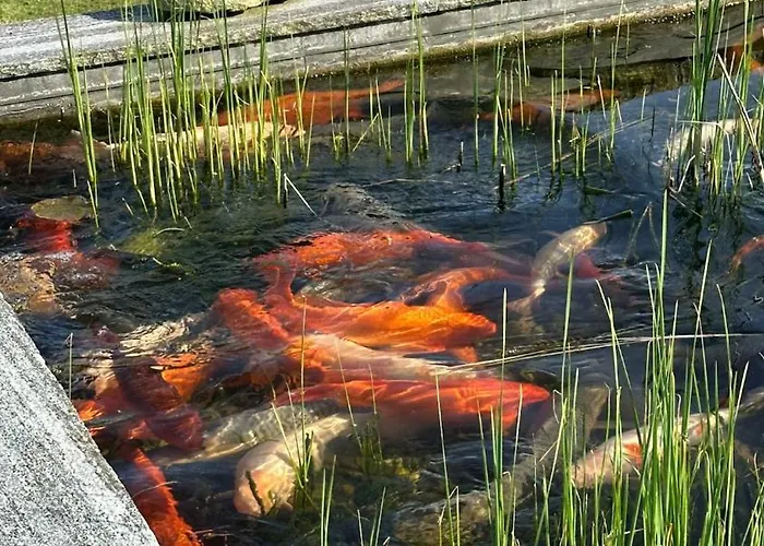 Omg Obermoesingergut Christkindl Στάιρ