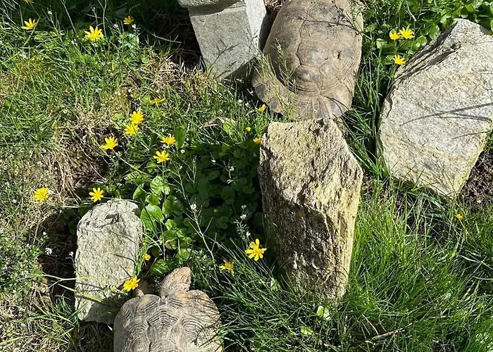 Omg Obermoesingergut Christkindl * Steyr
