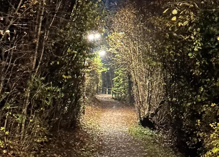 Omg Obermoesingergut Christkindl