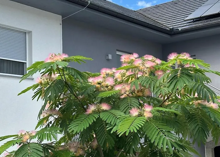 Omg Obermoesingergut Christkindl Apartmán Steyr